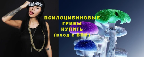 прущий лед Кинешма