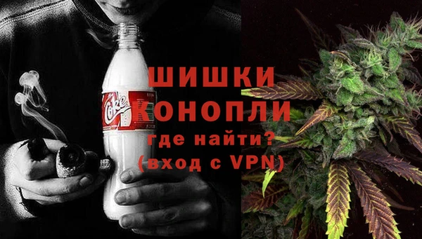 гидра Карпинск