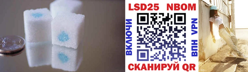 Купить  Сокол  ЛСД экстази кислота 