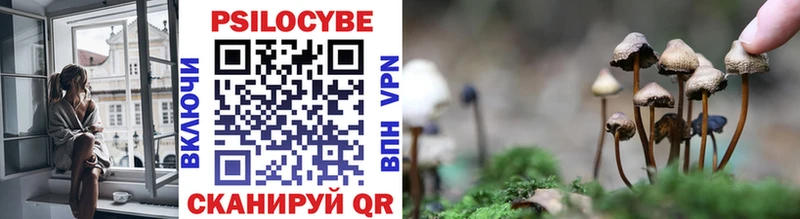 Купить  Сокол  Псилоцибиновые грибы ЛСД 